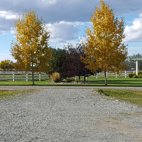 Meet your Posher, Shellie - Picture 4 of 6